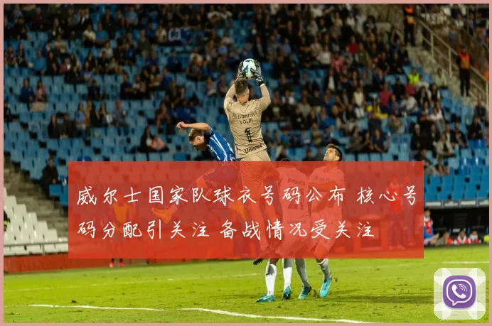 威尔士国家队球衣号码公布 核心号码分配引关注 备战情况受关注