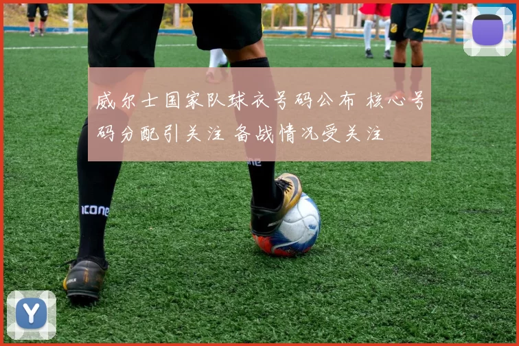 威尔士国家队球衣号码公布 核心号码分配引关注 备战情况受关注