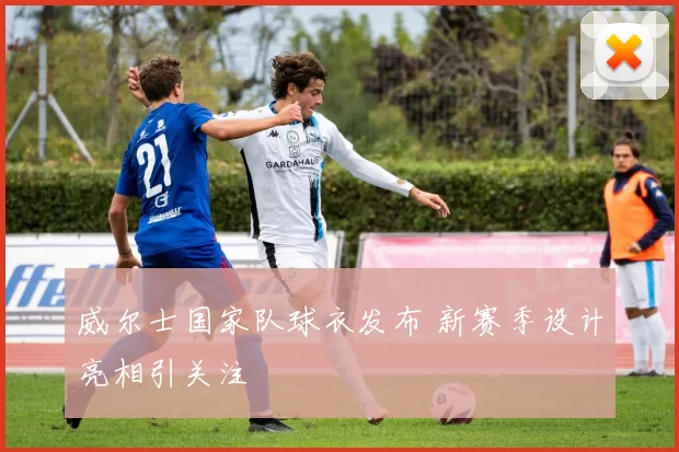 威尔士国家队球衣发布 新赛季设计亮相引关注