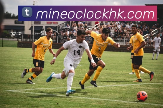 b体育网平台生态图