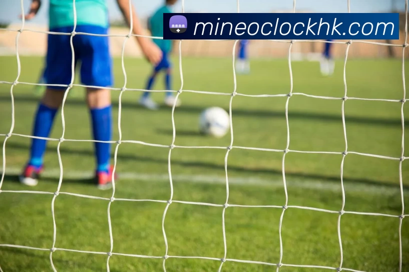 辅助工具 辅助工具